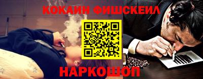 крисы Моздок