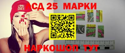 крисы Моздок