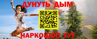 крисы Моздок