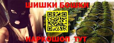 сатива Можайск