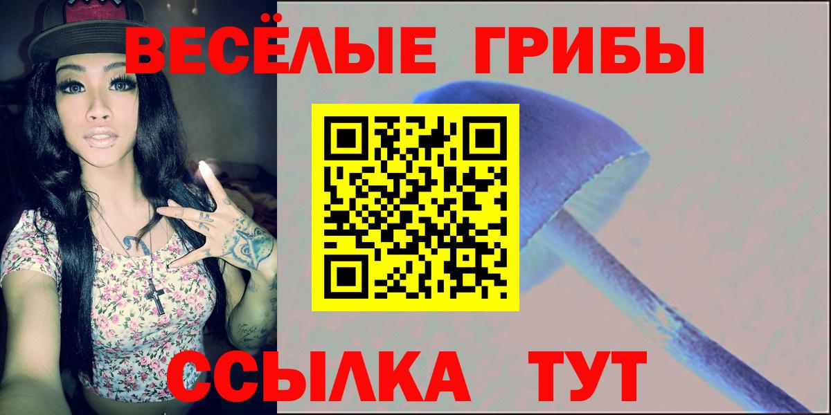 Псилоцибиновые грибы ЛСД  Вход с VPN  Псилоцибиновые грибы GOLDEN TEACHER  Ставрополь 